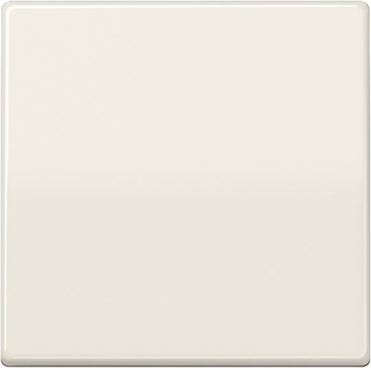 Actual product image JUNG Rocker