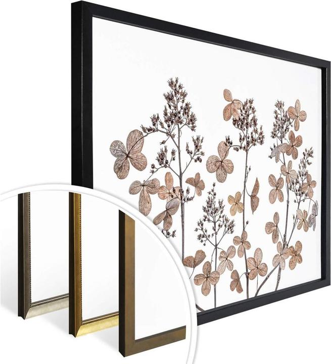 Immagine prodotto Trenddeko Fiori secchi (60 x 50 cm)