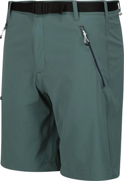 Actual product image Regatta Mens Xert III Stretch Shorts (56)