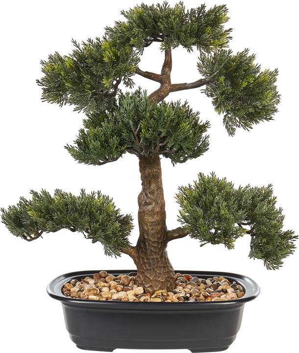 Immagine prodotto Beliani Pine (44 cm)