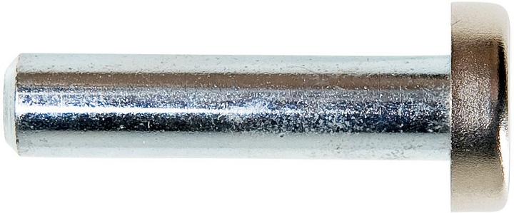 Actual product image Schwaiger Locking bolt for carcase clamp