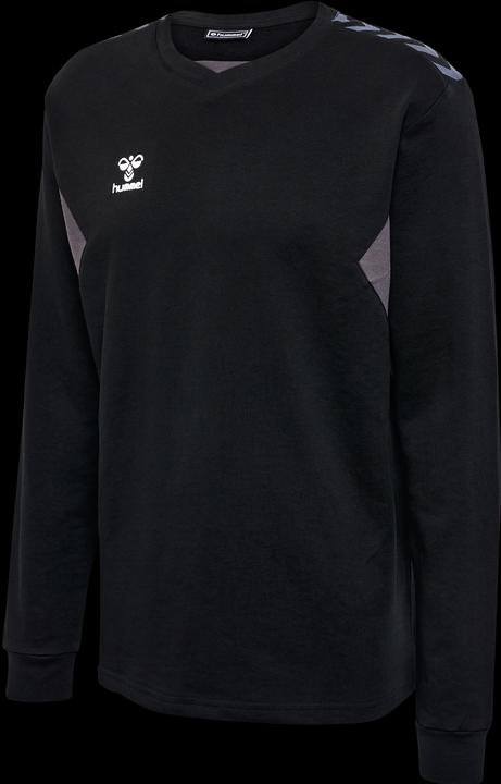 Actual product image hummel Hmlauthentic Co Training Sweat (S)