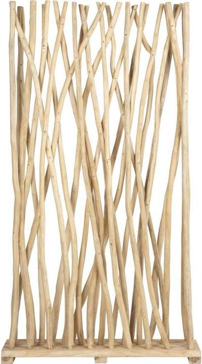 Actual product image Ozaia Gayana