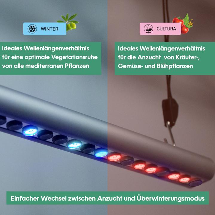 Actual product image Parus by Venso plant fitting GrowLight Quattro 30W, stimulation of photosynthesis and chlorophyll fo (LED, 230 V)