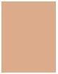 Actual product image Sisley Phyto-Teint Ultra Éclat (2+)