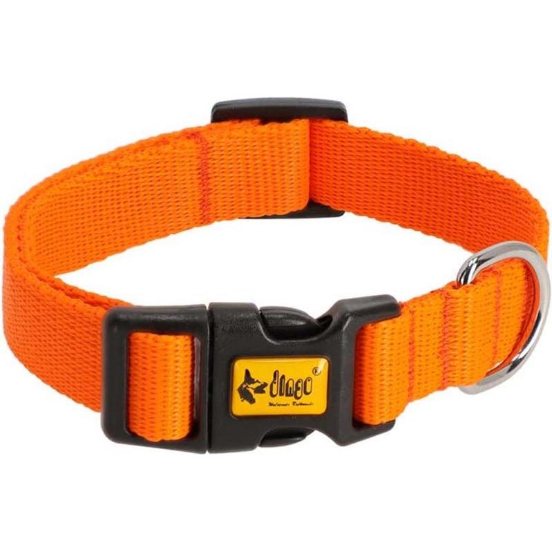 Red Dingo DINGO Energy orange - Hundehalsband - 24-39 cm (Hund, Hundesport), Halsband + Leine