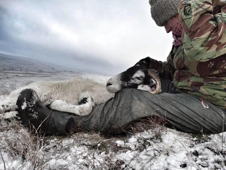 Produktbild Dunlop Purofort Thermo+ (S5, 45)