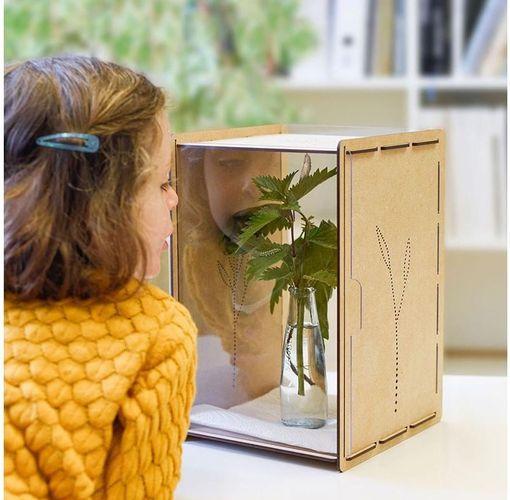 Immagine prodotto Mein Raupenkasten Scatola Caterpillar (Farfalle)