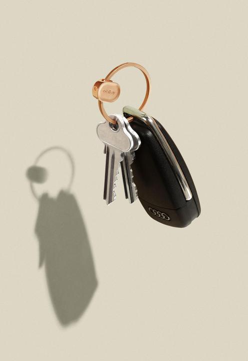 Actual product image Orbitkey Accessories rose gold