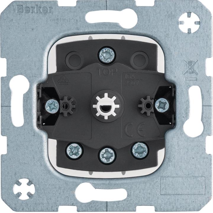 Actual product image Berker 386103