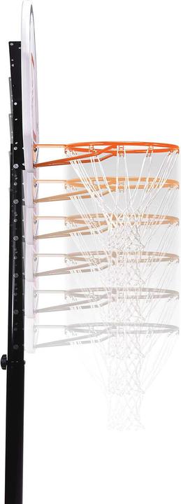 Actual product image Lifetime Miami