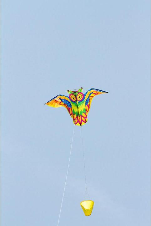 Produktbild Invento Flashy Owl Kite