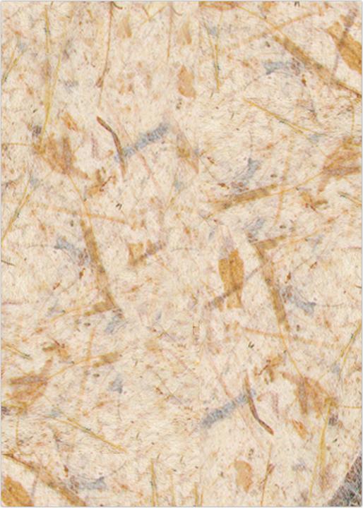 Produktbild Ursus DIGITAL - Bananenpapier (35 g/m², 10x)