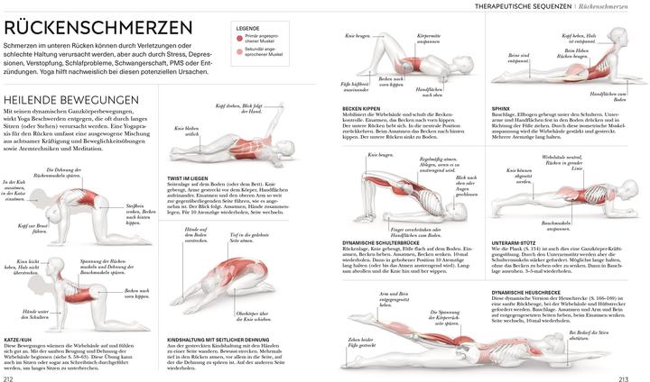 Produktbild Yoga verstehen - Die Anatomie der Yoga-Haltungen (Deutsch, Ann Swanson, 2024)