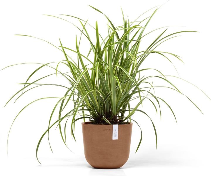 Produktbild Ecopots Oslo Mini (19 cm)