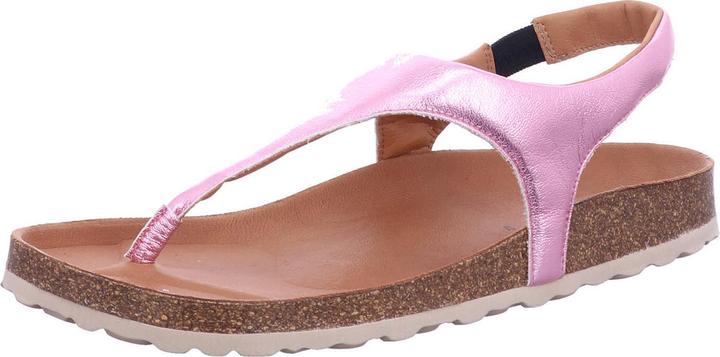 Produktbild Verbenas Reagan (37)