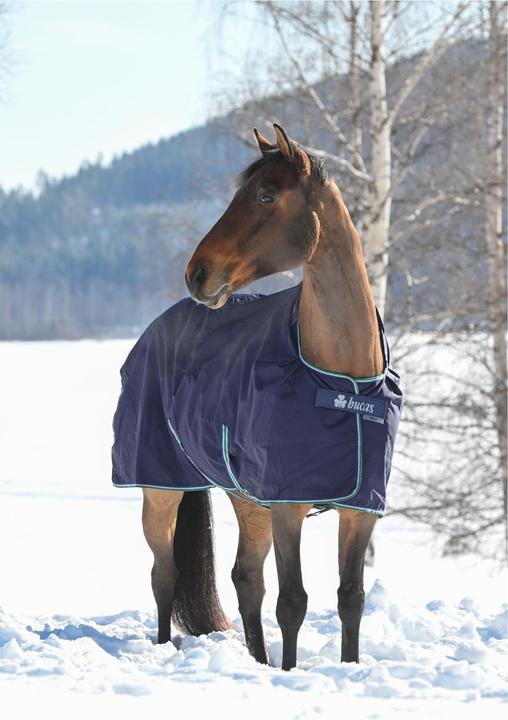 Produktbild Bucas Winterdecke Smartex Extra Classic 300g (165 cm)