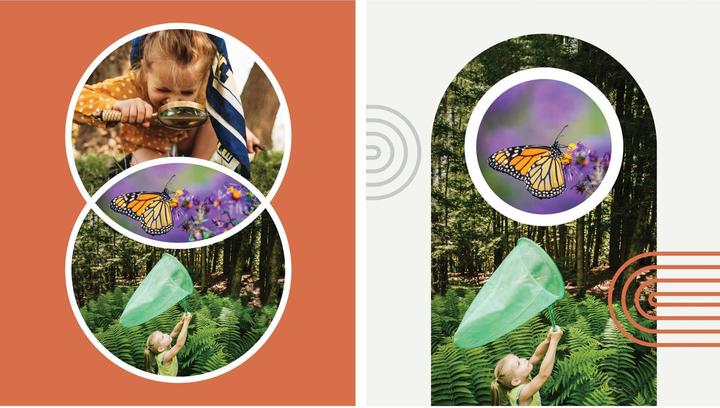 Produktbild Adobe Photoshop Elements 2023/2023/German/Multiple Platforms/Retail/1 User (1 User, unbegrenzt)