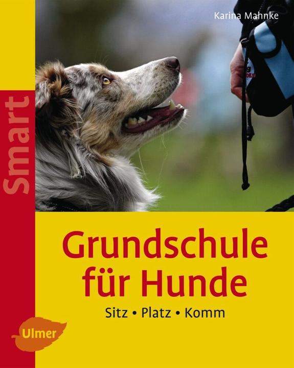 Produktbild Grundschule für Hunde (Deutsch, Karina Mahnke, 2008)