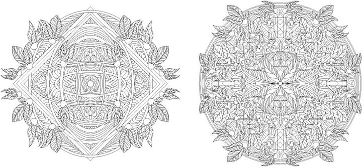 Produktbild Blumen-Mandalas (Ausmalbuch zur kreativen Stressbewältigung)