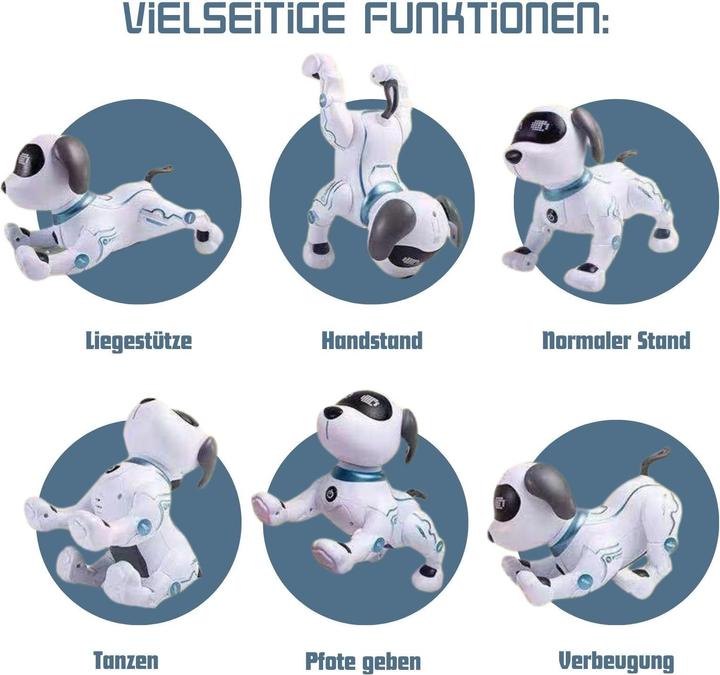 Immagine prodotto Hermex Cane robot
