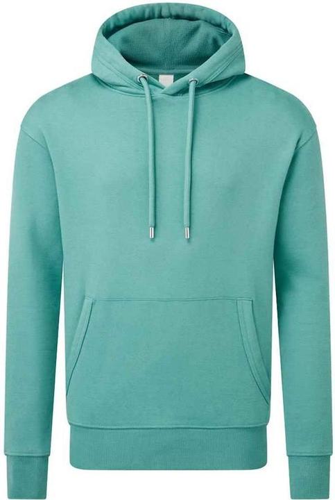 Produktbild Anthem Kapuzenpullover aus biologischem Anbau (L)