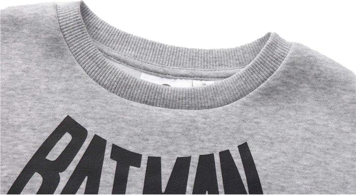 Image du produit Batman - Sweat motif/style logo CREW - Garçon (104)