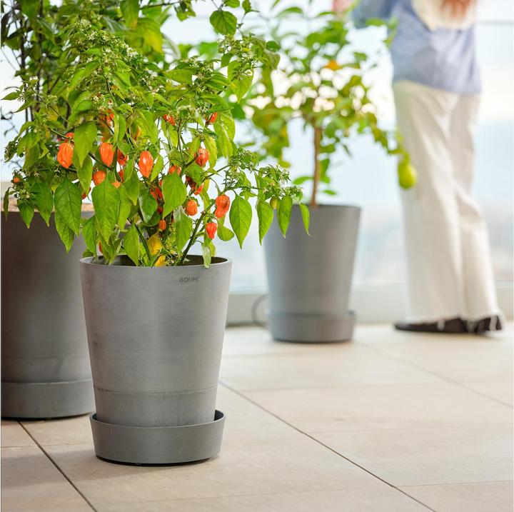 Produktbild Boum Topf 15 L Pro (32 cm)