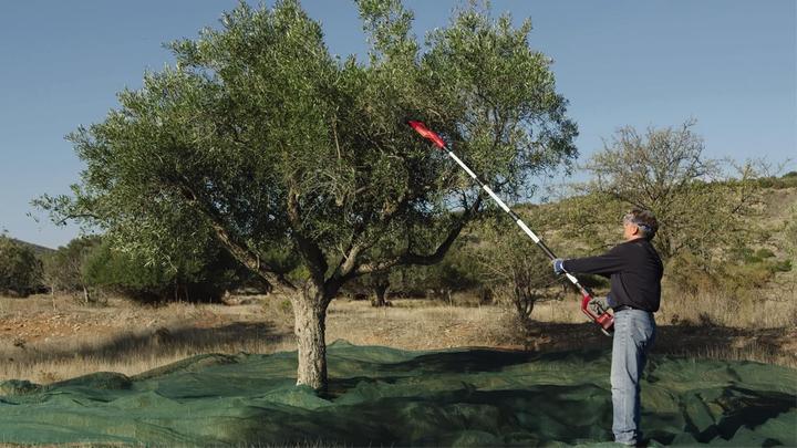 Produktbild Einhell 3411400 GE-FS 18/53 Li-Solo Obstpflücker