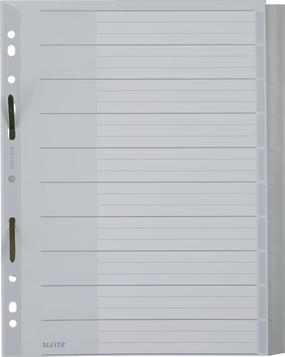 Produktbild Leitz Register Blanko