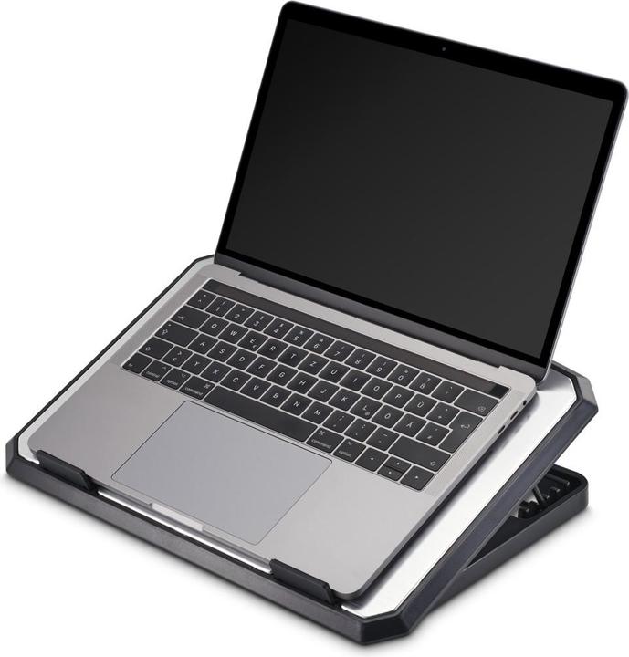 Actual product image Hama Cooler