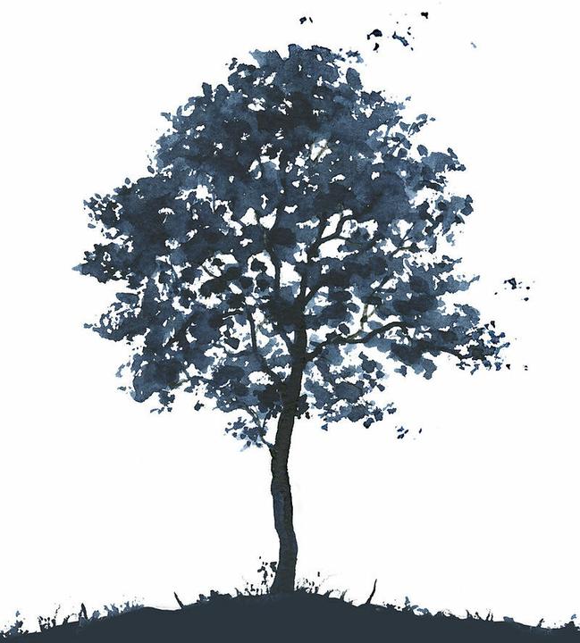Produktbild Doppelkarte. Baum