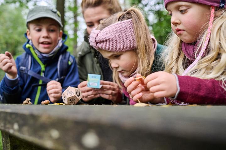 Actual product image Haba Terra Kids Suprise yourself!