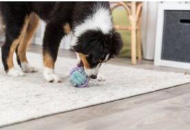 Image du produit Trixie Junior Rope ball for dogs, coton/polyester, 9 cm (Jouet à balle chien)