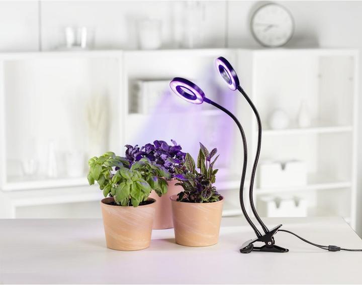 Productafbeelding Xavax Cirkel (LED, 5 V)