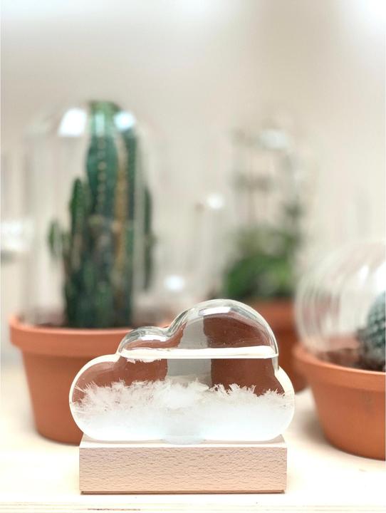 Produktbild Bitten Storm Cloud Weather Predictor