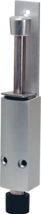 RAL 9010