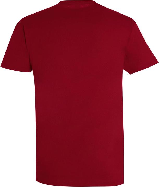 Produktbild Sols UTPC290 P (L)