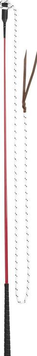Actual product image Usg Riding whip for ground exercises