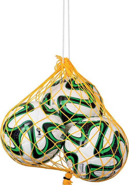Actual product image Huck Ballnetz
