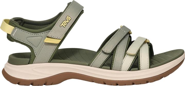 Seagrass Multi