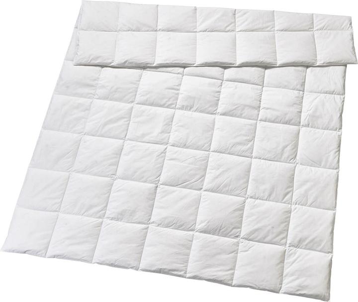 Immagine prodotto Billerbeck Edition Bellanora 4-Saisons (600 g, 160 x 210 cm)