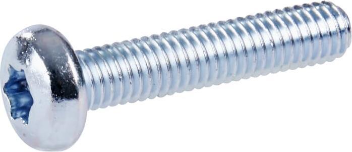 Actual product image Striebel & John Flat head screw (10 Screws per piece)