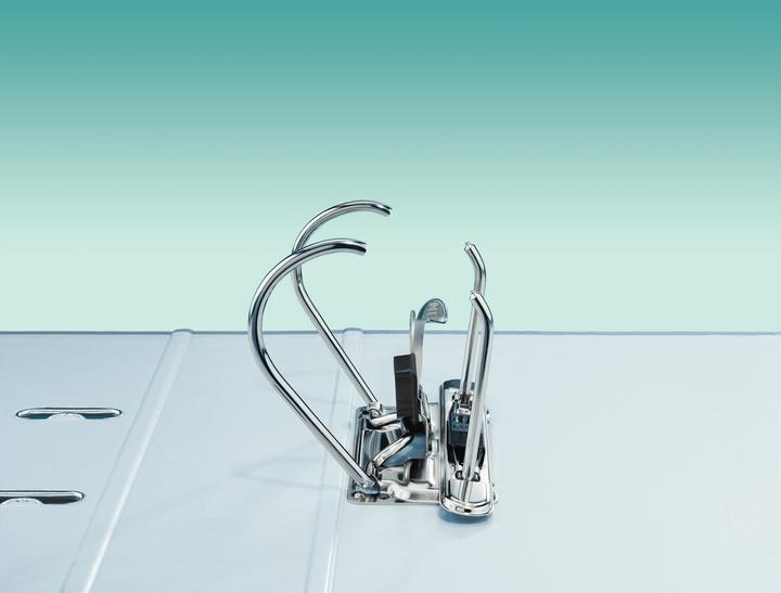 Image du produit Leitz Dossier (A4, 80 mm, 1 pcs)