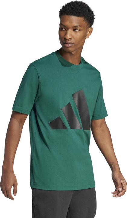 Actual product image adidas Essentials Big Logo (L)