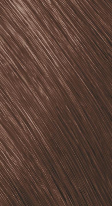 Image du produit Goldwell Topchic (6-GB blond foncé brun doré)