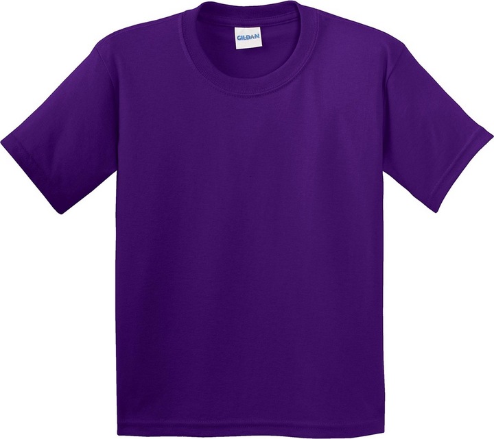 Actual product image Gildan Tshirt (2 piece pack) (L)