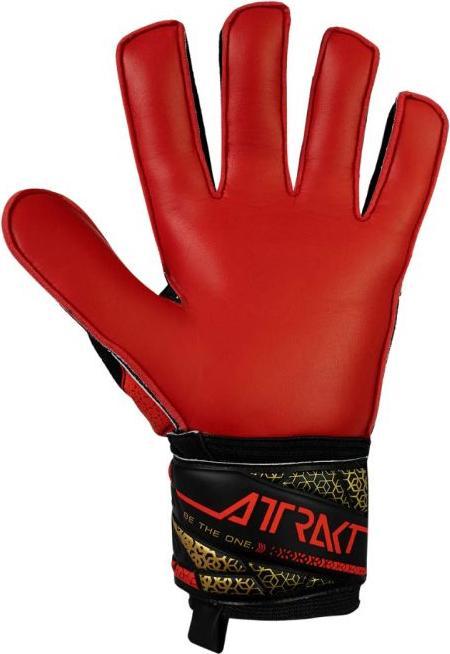 Immagine prodotto Reusch Guanti da portiere Attrakt Solid (9)