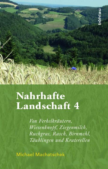 Produktbild Nahrhafte Landschaft 4 (Deutsch, Michael Machatschek, 2017)