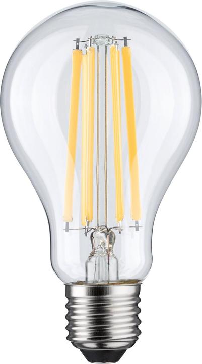 Paulmann Allgebrauchslampe (E27, 2000 lm, 1x)